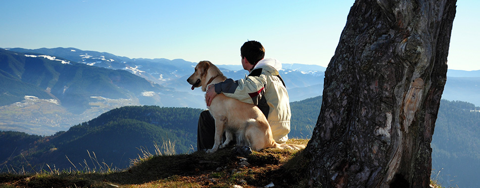 Owner and dog hugging