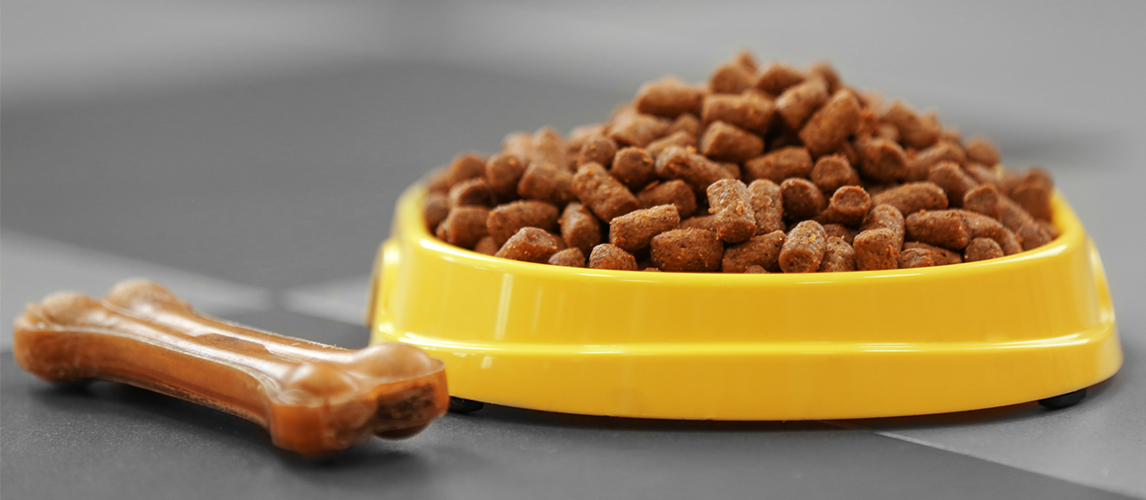 Pet food in bowl