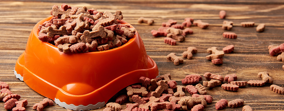 Plastic bowl with pile of dog food on wooden table