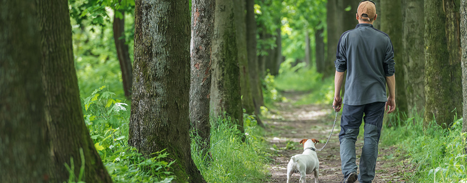 Walking