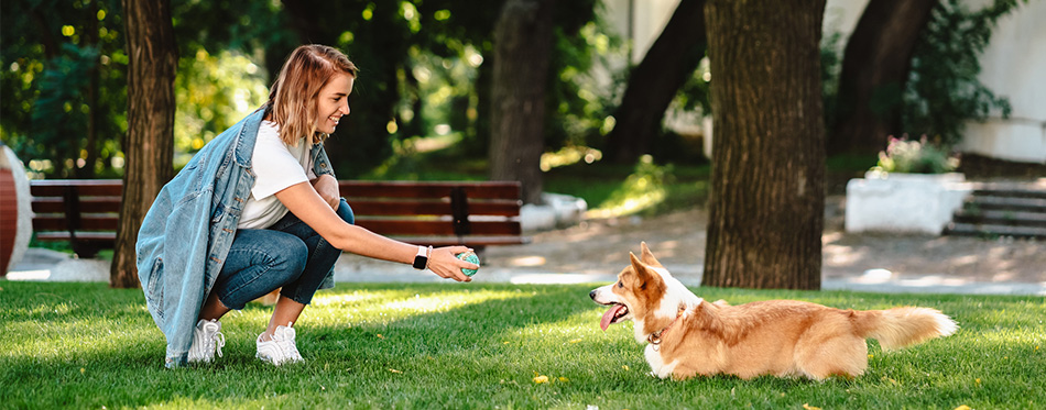 Woman playing with her dog 