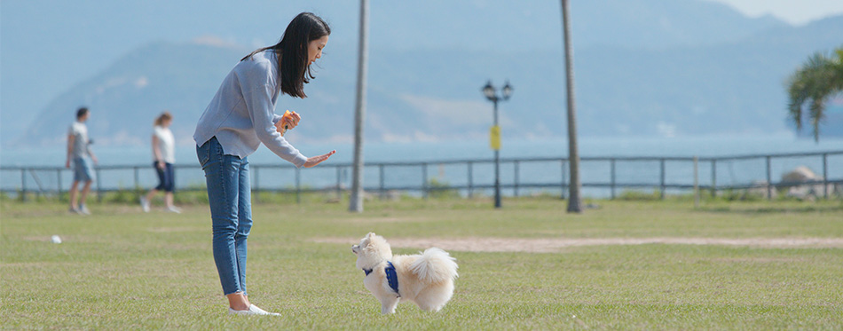 Woman training with her dog