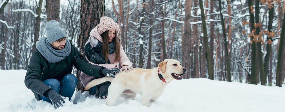 Young couple having fun together with dog in winter