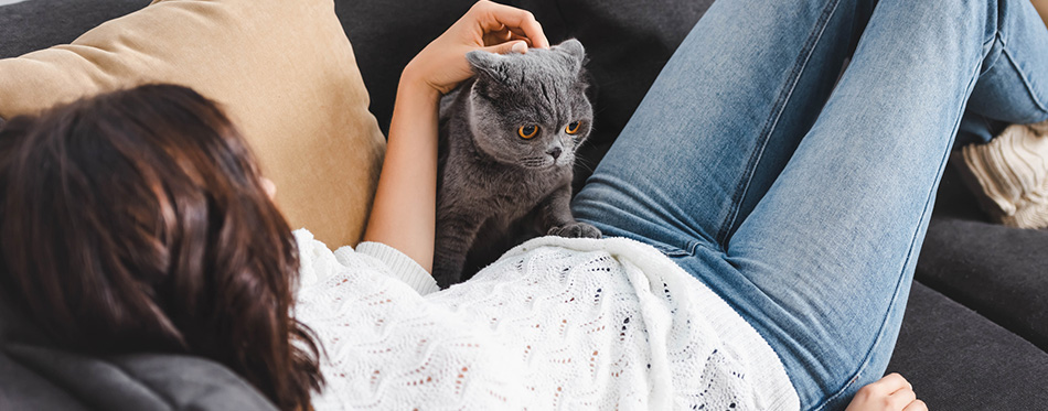 Young woman lying on sofa with scottish fold cat