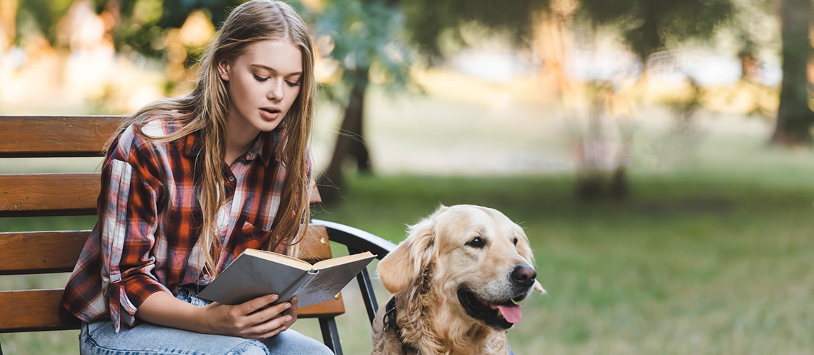 Beautiful girl in casual clothes sitting on wooden bench in park and reading book near golden retriever