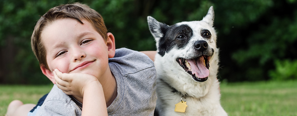 Child playing with his pet dog, a blue heeler