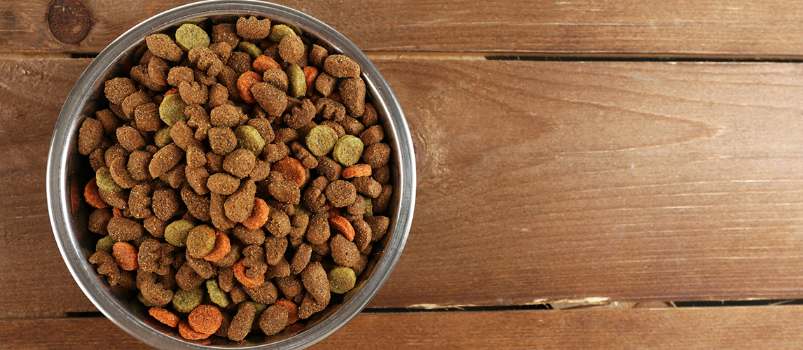 Dog food in bowl on wooden table 