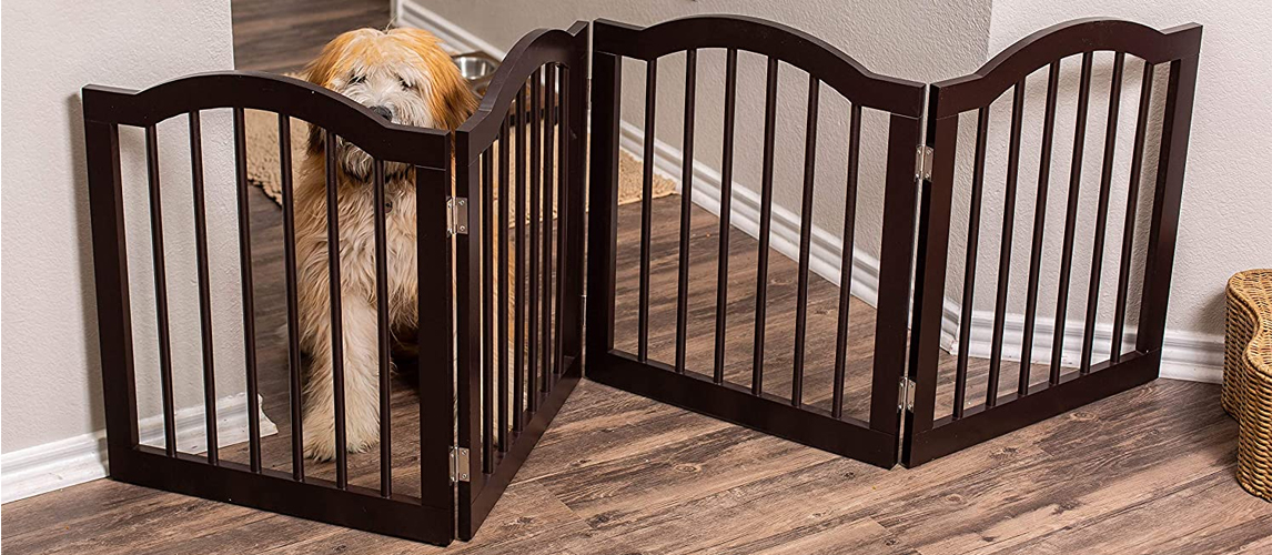 Dog gate