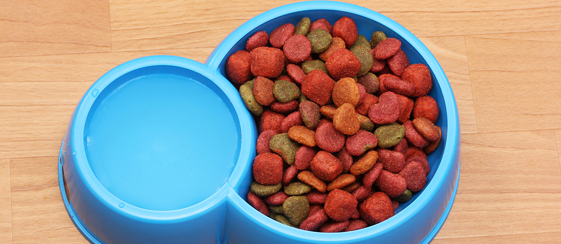 Dry dog food and water in blue bowl on the floor