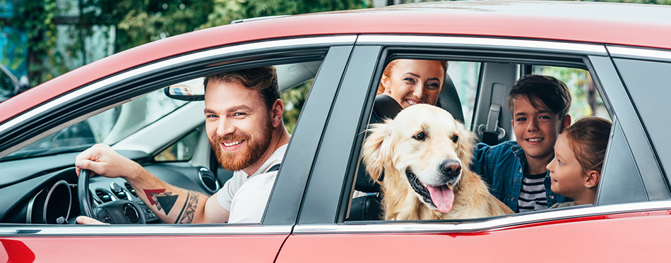 Family travelling by car