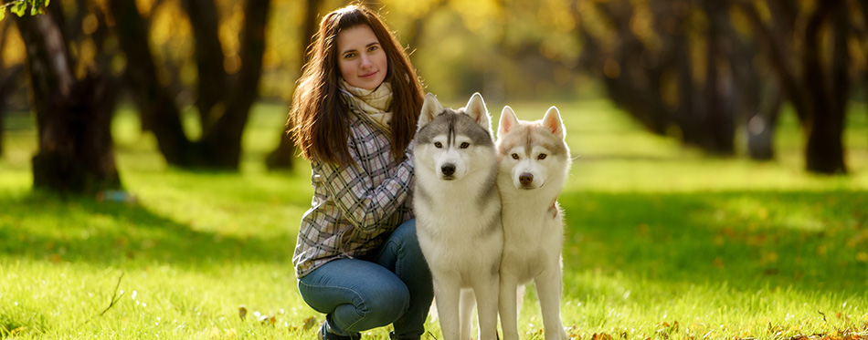 Girl plays with her dog in fallen autumn leaves 