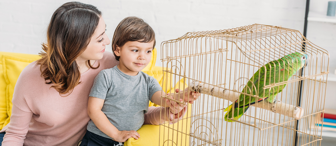 Happy mother with adorable son looking at green parrot in bird cage at home 