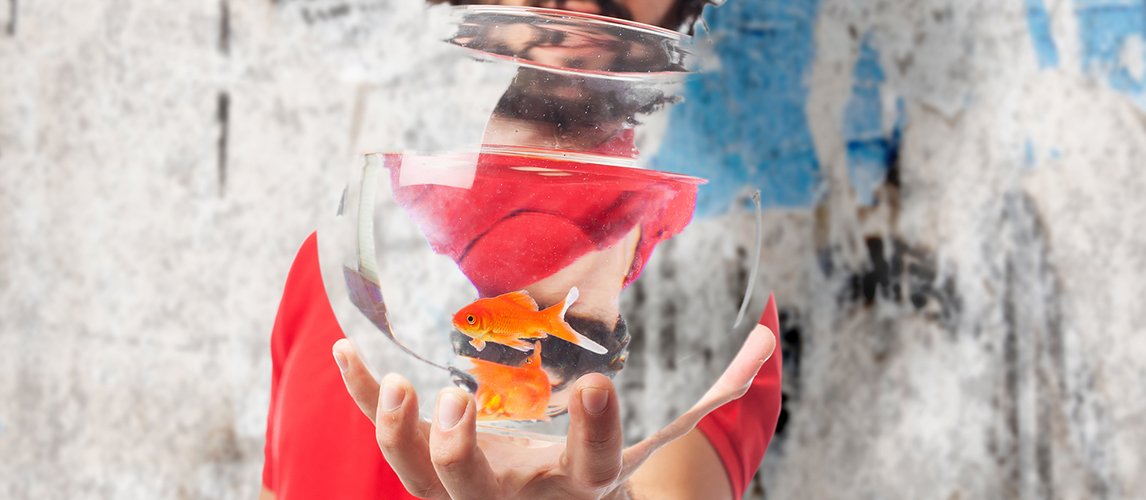 Happy young man with fishbowl