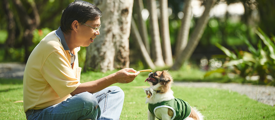 Mature man training dog