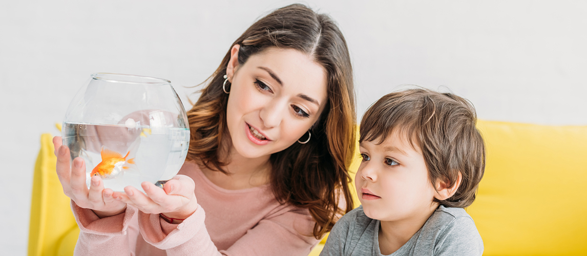 Pretty woman holding fish bowl with bright gold fish near adorable son 