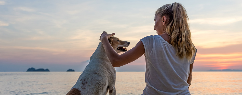 Young woman with dog sitting on the beach and watching the sunset