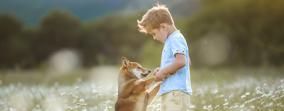 A dog is the best friend for a child 