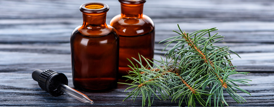 Bottles of natural herbal essential oils, fir twigs and pipette on wooden table 