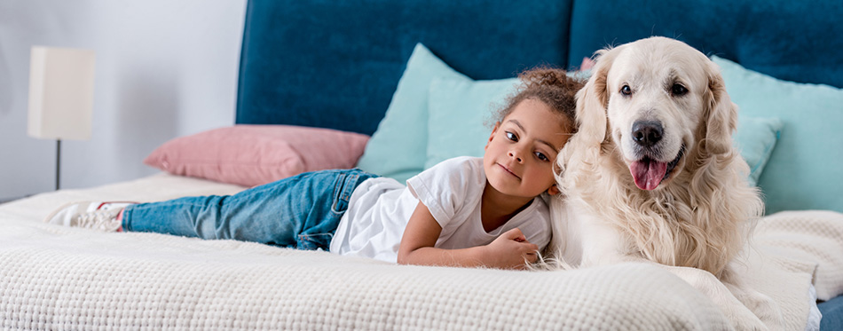 Cute little african american kid with happy dog lying on bed with colourful pillows 