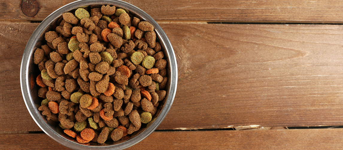 Dog food in bowl on wooden table 