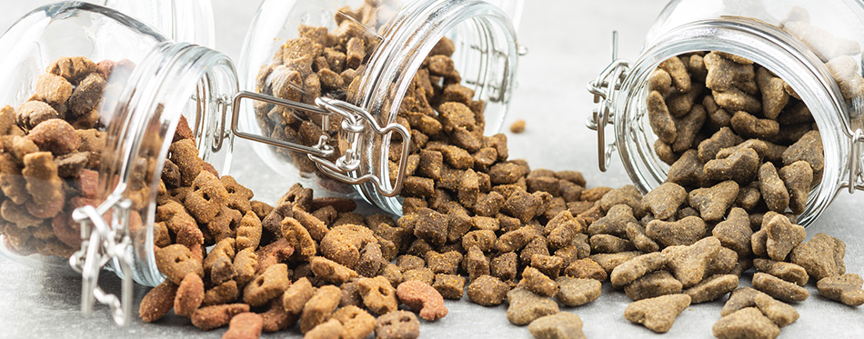 Dry pet food. Kibble dog or cat food