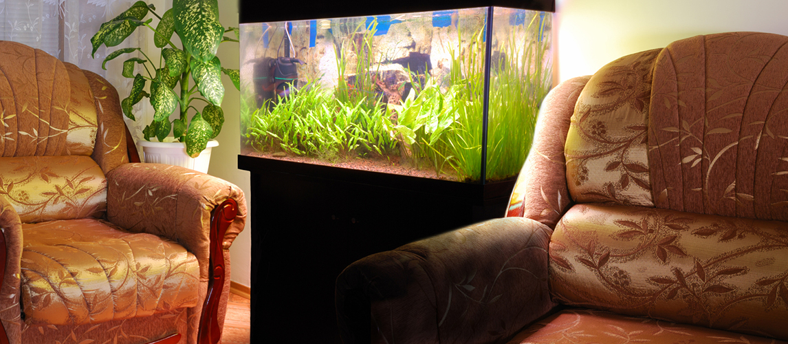 Furniture and aquarium interier