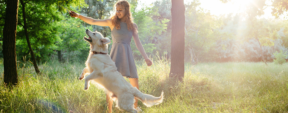 Girl playing with dog in park