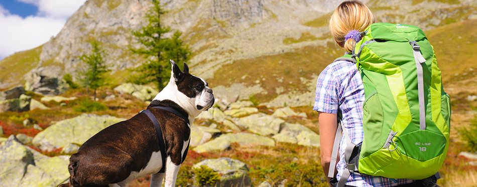 Hiking woman with dog in mountains 