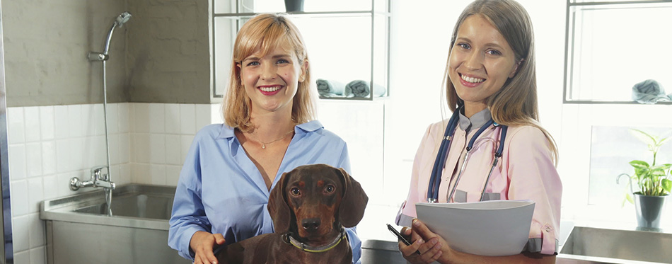 The vet, the owner and the German badger-dog are in the doctors office 