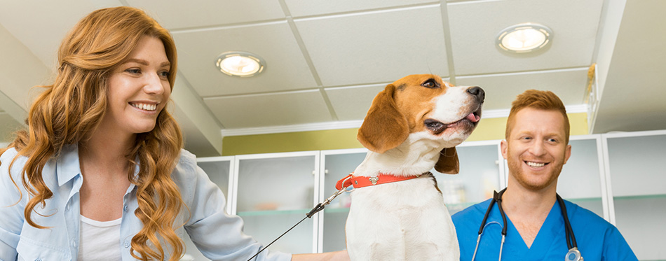 Woman with her dog at veterinary