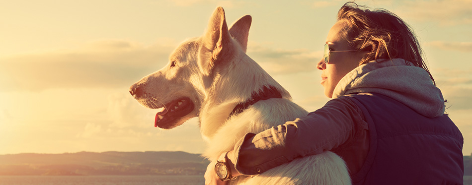 Young attractive girl with her pet dog at a beach, colorised image