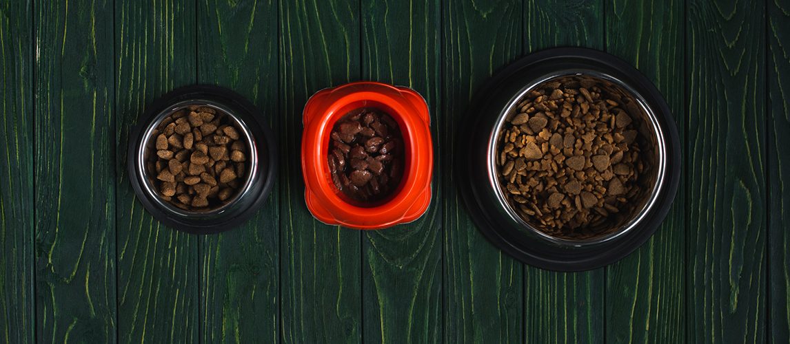 Top view of bowls with pet food in row on green wooden surface with copy space 