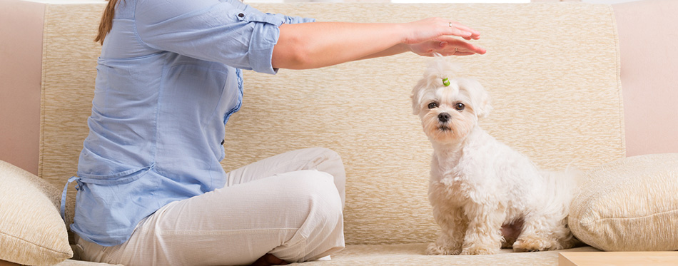 Woman practicing reiki therapy