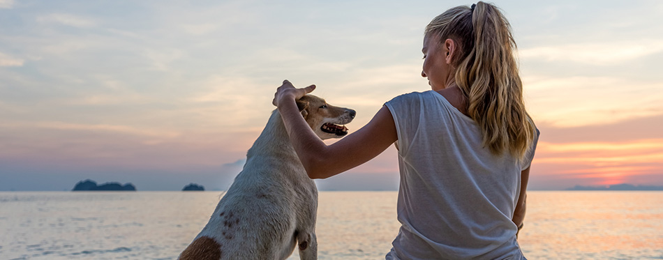 Young woman with dog sitting on the beach and watching the sunset 