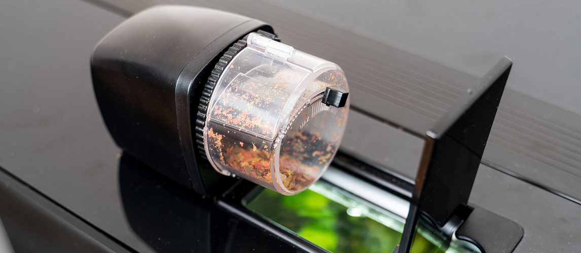 Automatic fish feeder standing on the aquarium cover