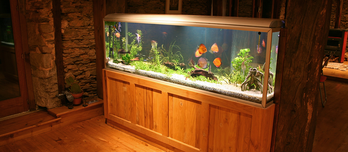 Fish tank during the night