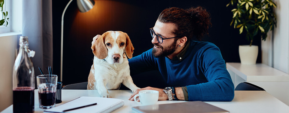 Cheerful smiling handsome caucasian man sitting in his office and playing with his dog.