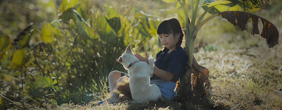 Little girl staying away from her friend and playing with her dog in the garden during the summer holiday. This is a social distancing.