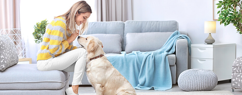 Portrait of happy woman with her dog at home