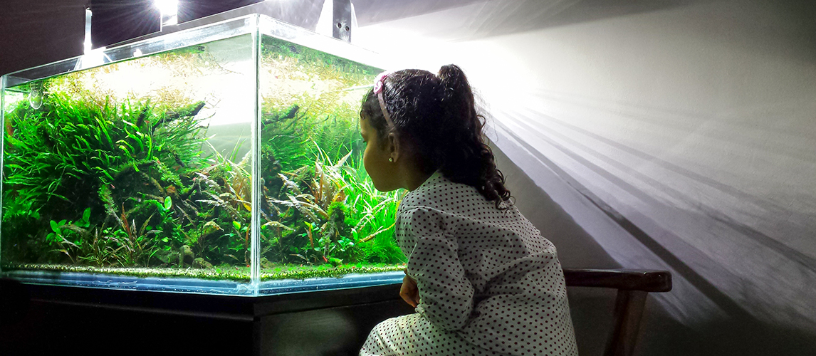 Girl admiring aquarium in his house at night