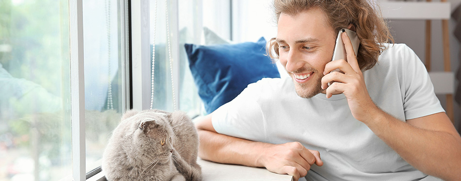Man talking by phone while sitting near window with cute cat