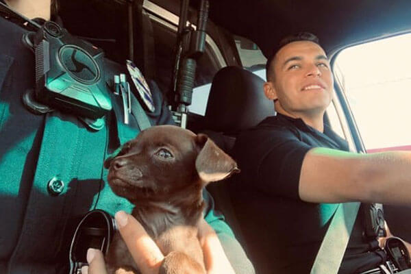 Two police officers and a puppy in police vehicle