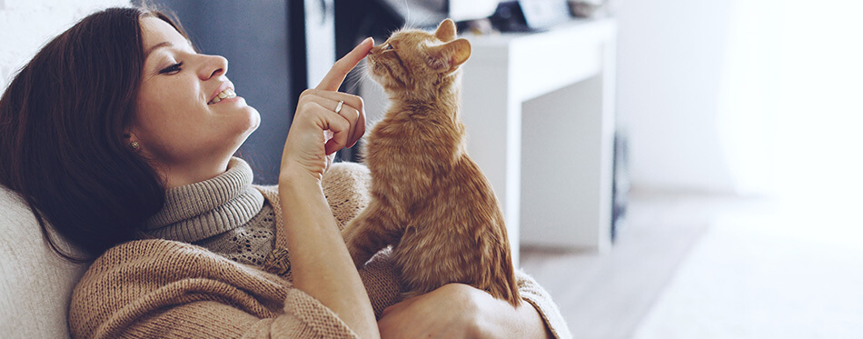 Young woman wearing warm sweater is resting with a cat on the armchair at home one autumn day