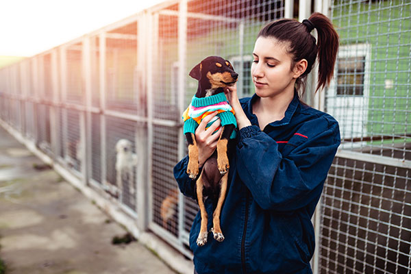 Young woman in dog shelter.