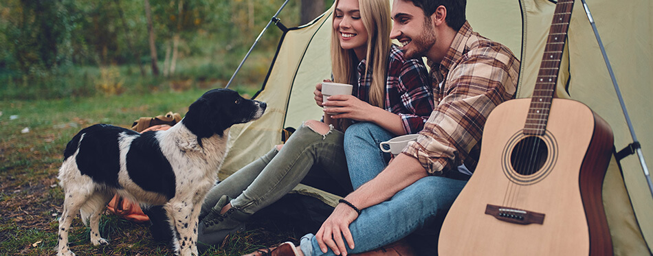 Attractive woman and handsome man are spending time together on nature with dog.