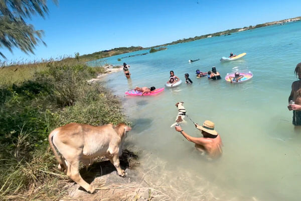 Peanut is a regular at the popular swimming spot