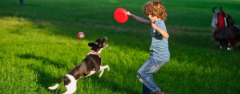 The boy plays on a lawn with dog.