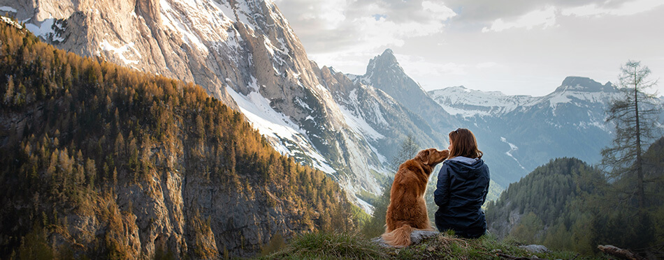 girl with a toller dog in the mountains.