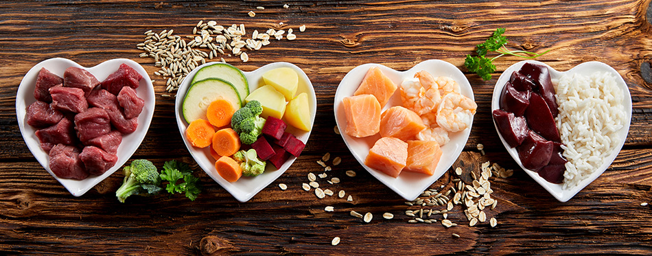 Panorama banner of healthy fresh ingredients for pet food in individual heart-shaped bowls viewed from overhead with chopped raw beef, liver and chicken , mixed vegetables and rains on rustic wood