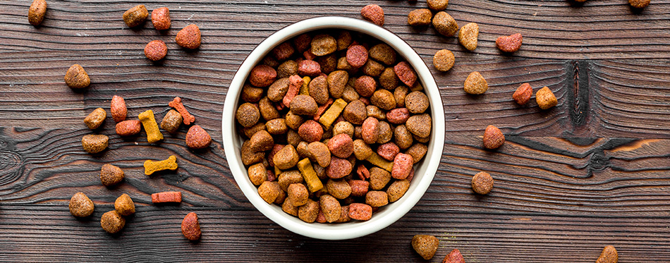 dry dog food in bowl on wooden background top view